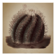 Œuvre d'art vintage sur les cactus