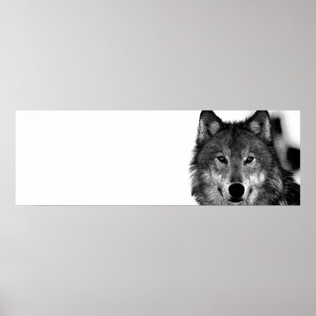Poster Oeuvre de loup gris noir et blanc (Devant)