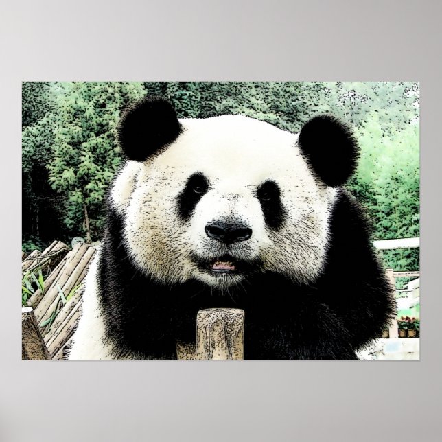 Poster Oeuvre de Panda (Devant)