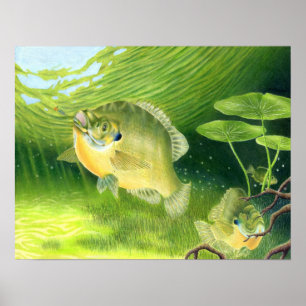 Poster OEuvre gagnante de R. Nelson, 7e année