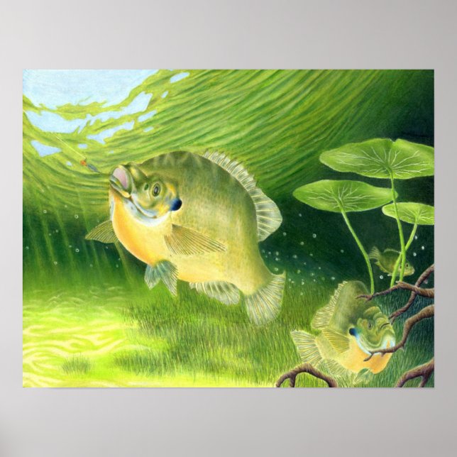 Poster OEuvre gagnante de R. Nelson, 7e année (Devant)