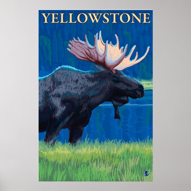 Poster Oie de nuit - Parc national de Yellowstone (Devant)