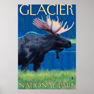 Poster Oie de nuit - Parc national des Glaciers, MT