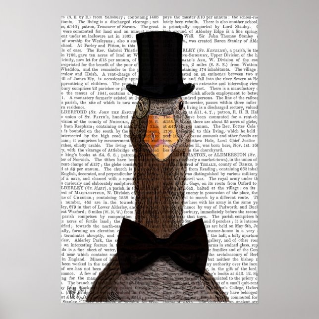 Poster Oie distinguée (Devant)