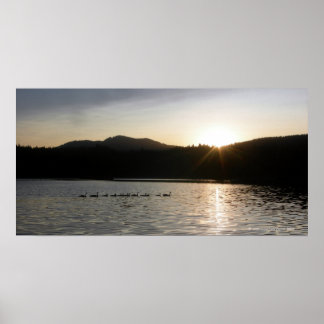 Poster Oies canadiennes et coucher de soleil sur la Reser