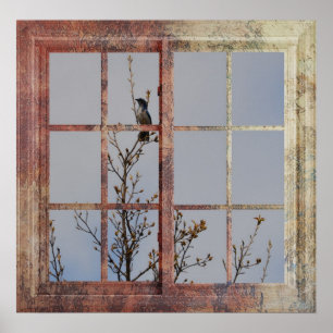 Poster Oiseau bleu dans la fenêtre