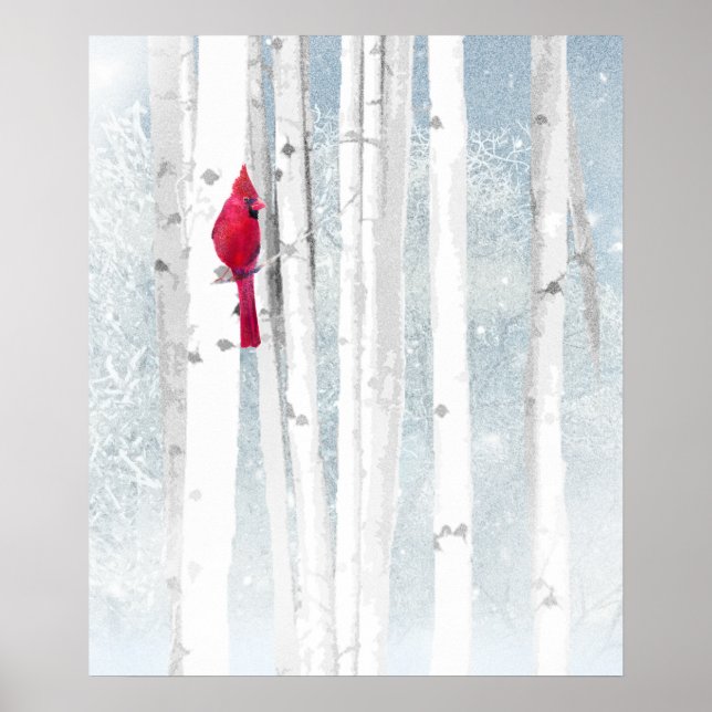 Poster Oiseau cardinal rouge dans un magnifique Birch Tre (Devant)