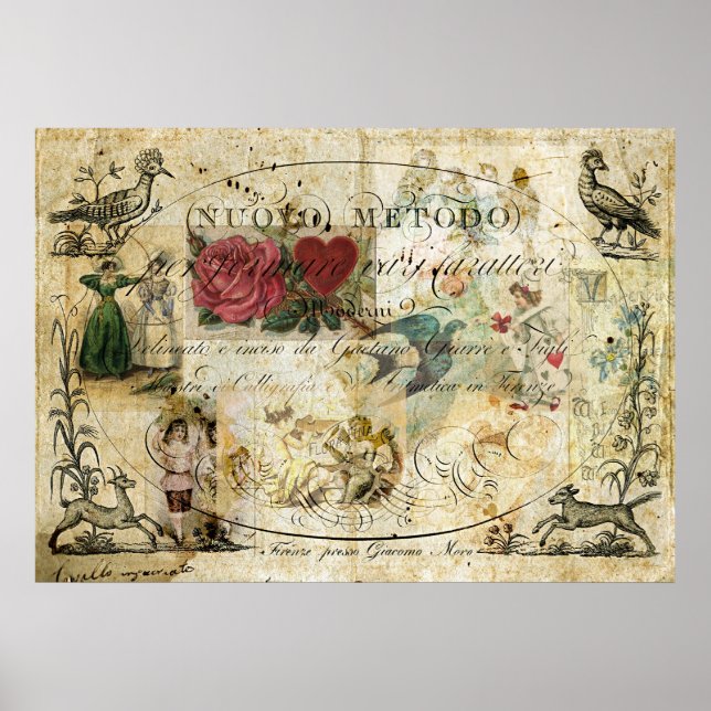 Poster Oiseau dans la main (Devant)