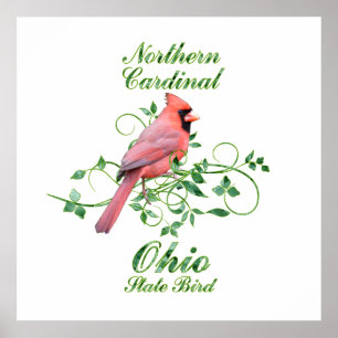 Poster Oiseau d'état cardinal de l'Ohio