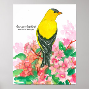 Poster Oiseau d'État de Washington American Goldfinch Jau