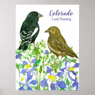 Poster Oiseau d'Etat du Colorado Fleurs sauvages de Bunti
