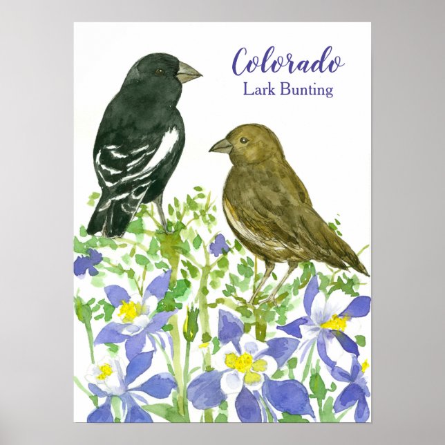 Poster Oiseau d'Etat du Colorado Fleurs sauvages de Bunti (Devant)