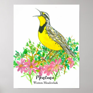 Poster Oiseau d'État du Montana Meadowlark Fleur Bitterro