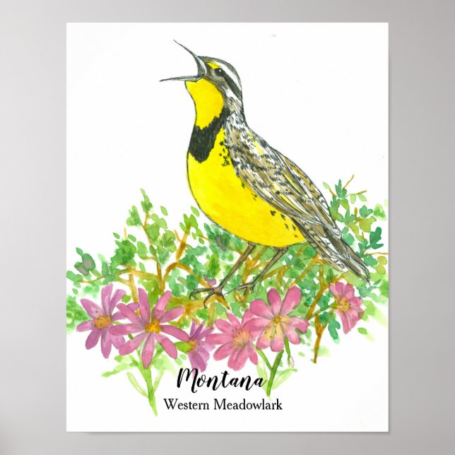 Poster Oiseau d'État du Montana Meadowlark Fleur Bitterro (Devant)