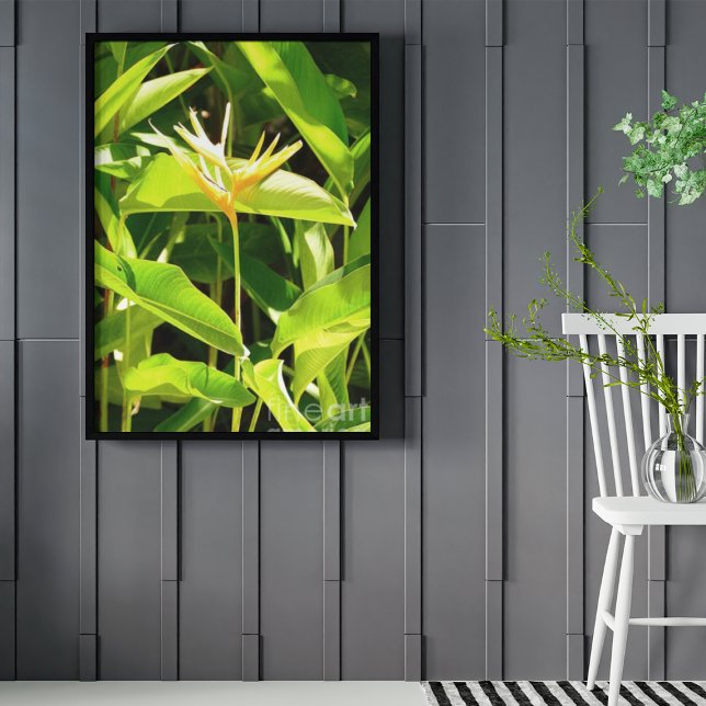 Poster Oiseau du Paradis (Créateur téléchargé)