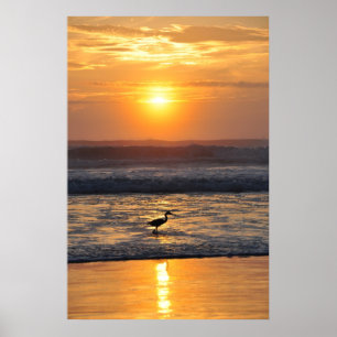 Poster Oiseau orange de lever de soleil de plage pêchant