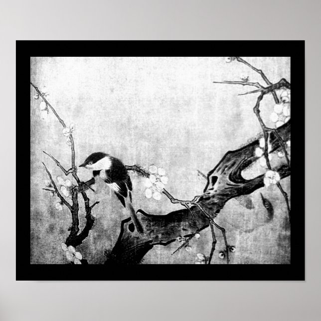 Poster OISEAU PRINTANIER ET ARBRE FLEURI Noir Blanc Gris (Devant)