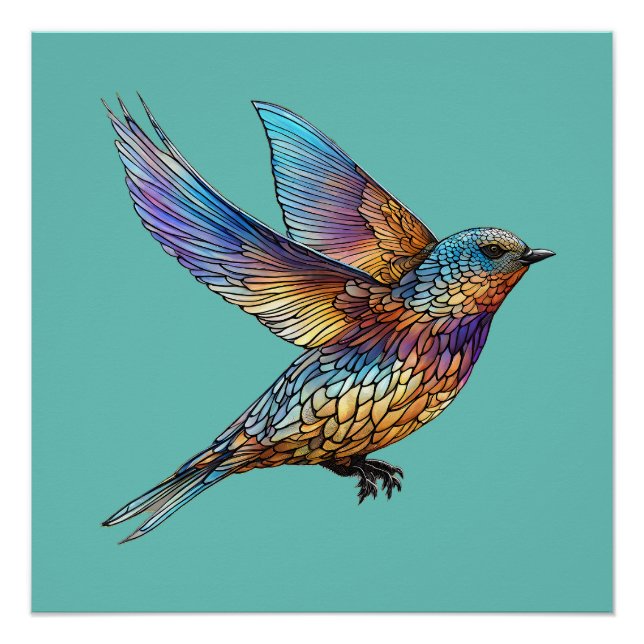 Poster Oiseau rapide multicolore "aviateur gracieux" (Devant)