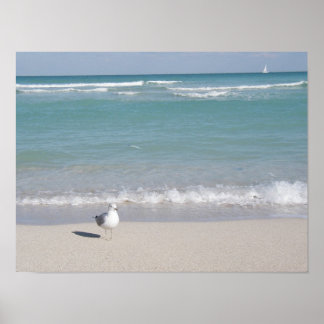 Poster Oiseau sur la plage