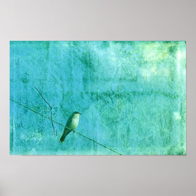 Poster Oiseau sur un fil (Devant)