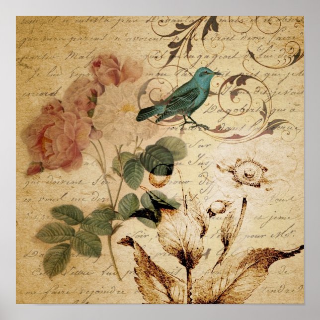 Poster oiseau victorien Paris Rose botanique français (Devant)