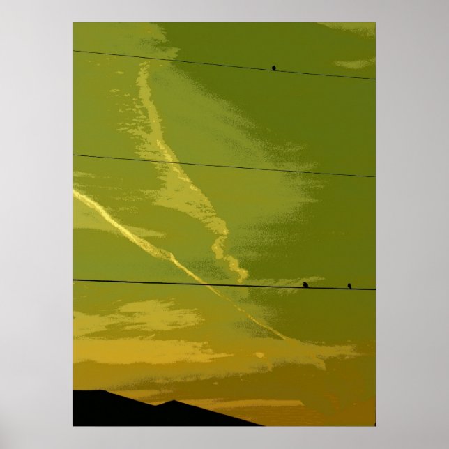 Poster Oiseaux Au Coucher Du Soleil (Devant)