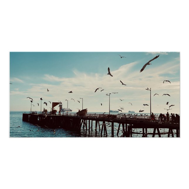 Poster Oiseaux de mer au-dessus de la jetée (Devant)