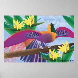 Poster Oiseaux du Paradis