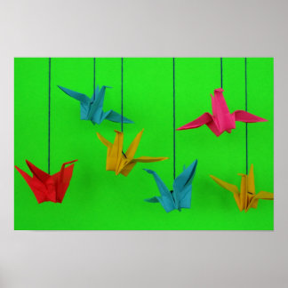 Poster Oiseaux d'une couleur