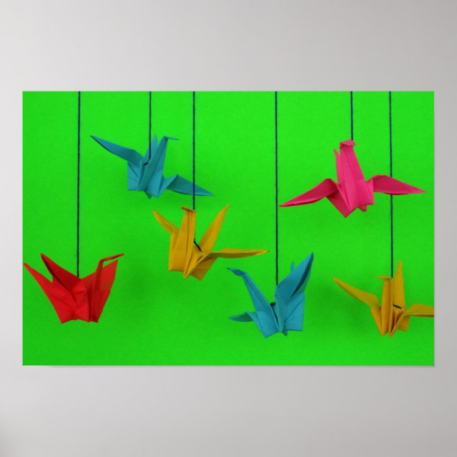 Poster Oiseaux d'une couleur (Devant)