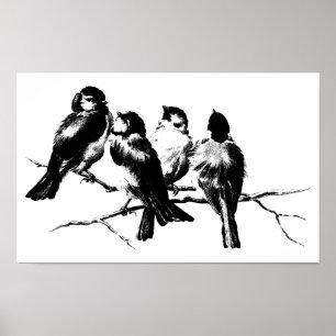Poster Oiseaux pelucheux vintages sur des branches
