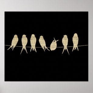 Poster Oiseaux Sur Fil