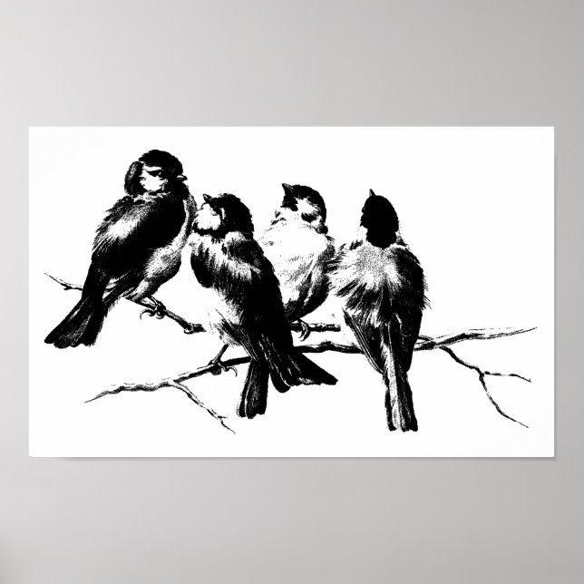 Poster Oiseaux vintages de boules (Devant)