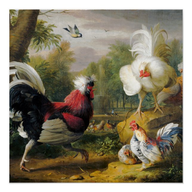 Poster Oiseaux vintages Les Cockrels combattent (Devant)