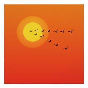 Poster Oiseaux volant vers le soleil