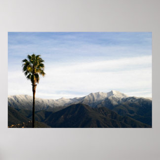 Poster Ojai Palm