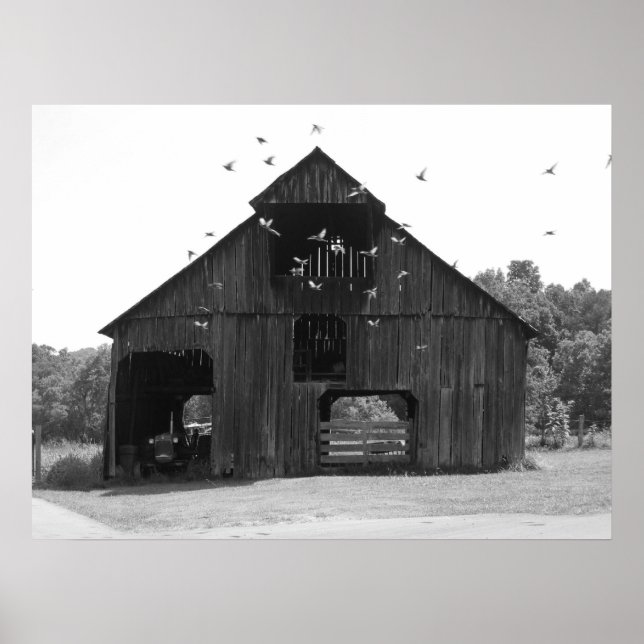 Poster Old barn (Devant)