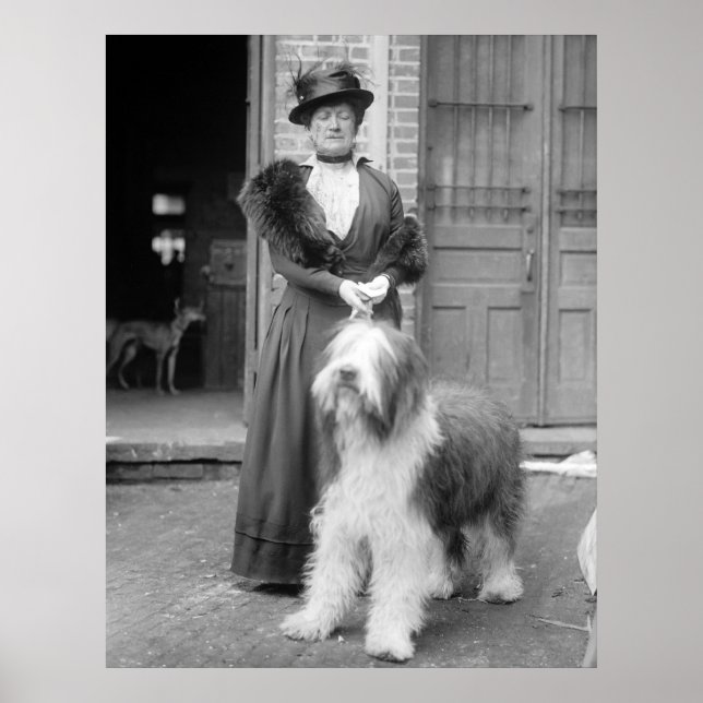 Poster Old English Sheepdog, 1915 (Devant)