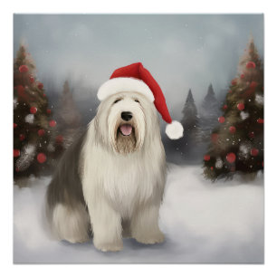Poster Old English Sheepdog en Noël de neige