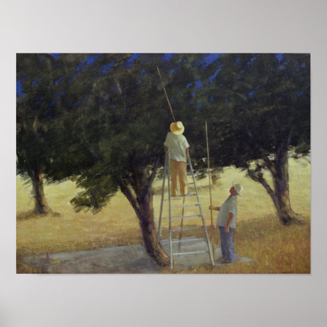 Poster Olive Pickers 1985 (Devant)
