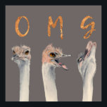 Poster OMG Ostriches<br><div class="desc">Il s'agit d'un tableau aquarelle d'autruches avec des émotions de transition du calme à la fonte. Il y a des lettres au-dessus de chaque autruche qui dit "OMG" en fausse feuille d'or.</div>