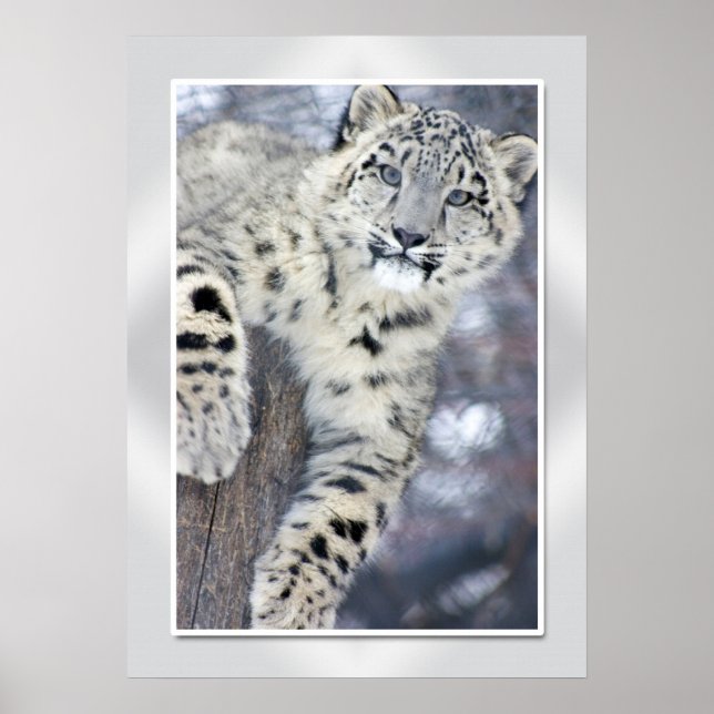 Poster On se tient autour.... (w/bordure) (Devant)