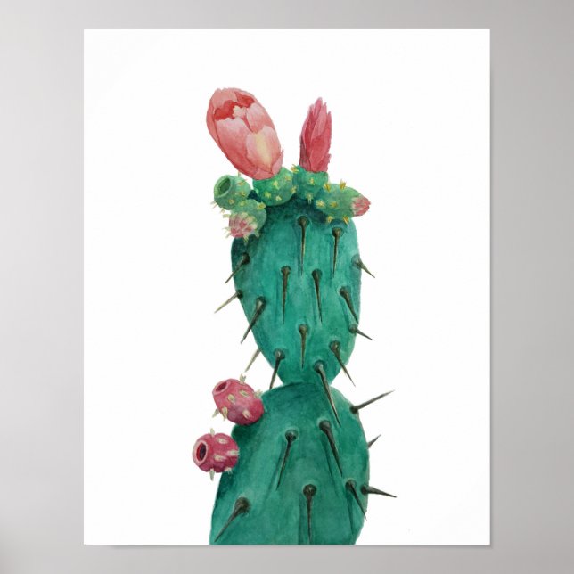 Poster Opuntie dans les aquarelles (Devant)