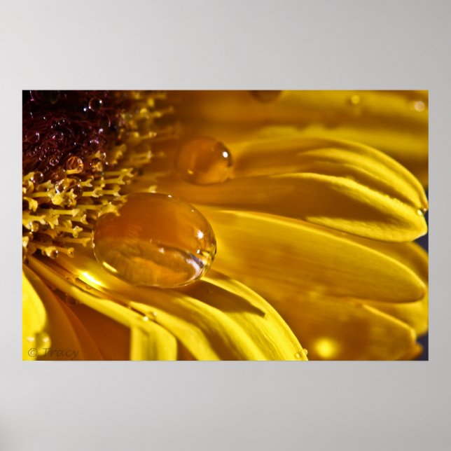 Poster Or liquide (Devant)