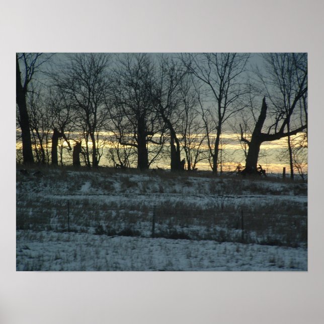 Poster Or Prairie (Devant)