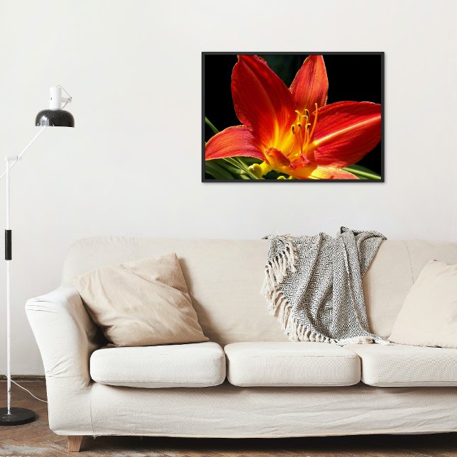 Poster Orange Daylily Bloom Photo Glossy (In Situ)