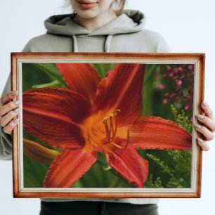 Poster Orange Daylily Floral