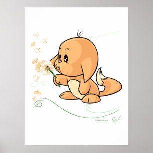 Poster Orange Kacheek souhaitant sur un pissenlit