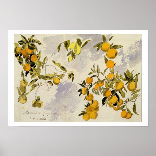Poster Orange Trees, 1863 (w/c, stylo et encre sur graphi (Devant)