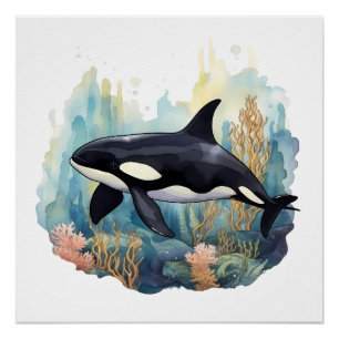 Poster Orca Et Corail